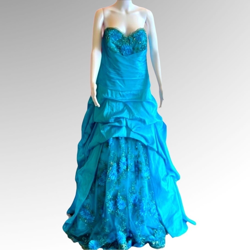 Cinderella divine gown.